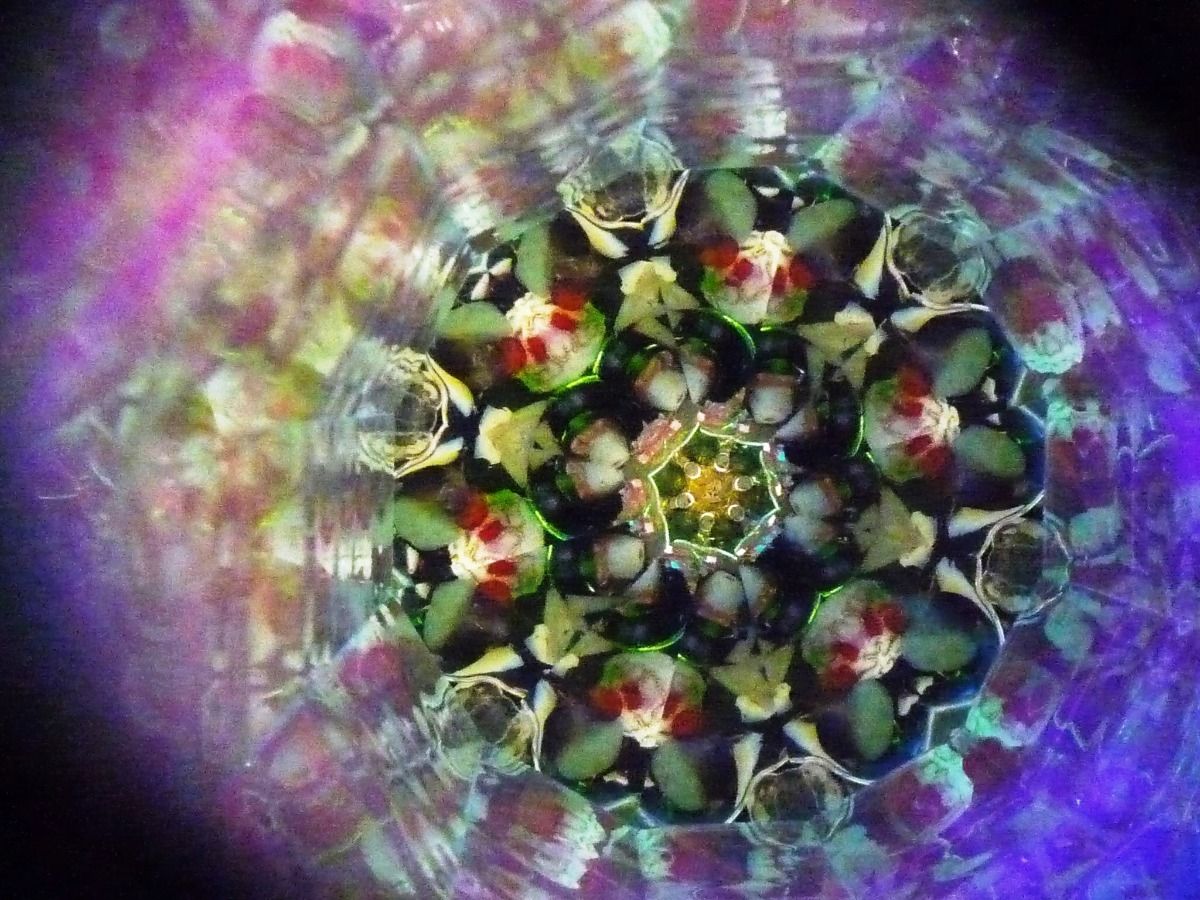 万華鏡《393》《394》1本の万華鏡に2つの模様　２つ穴の万華鏡 (黒天板) 万華鏡《393》《394》1本の万華鏡に2つの模様 2